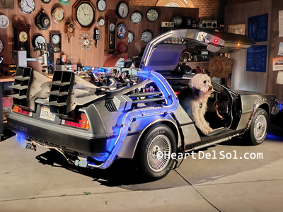 Pic070b - Universal Studios Fan Fest Nights Back to the Future