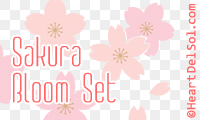 Sakura Bloom Set